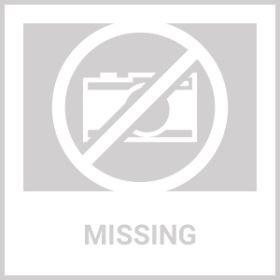 Griddle Caddy Standing Grill Utensil Caddy With Paper Towel Holder Hook Baskets BBQ Accessories Storage Rack Vertical Standing BBQ Organizer Gril (Color: Black)